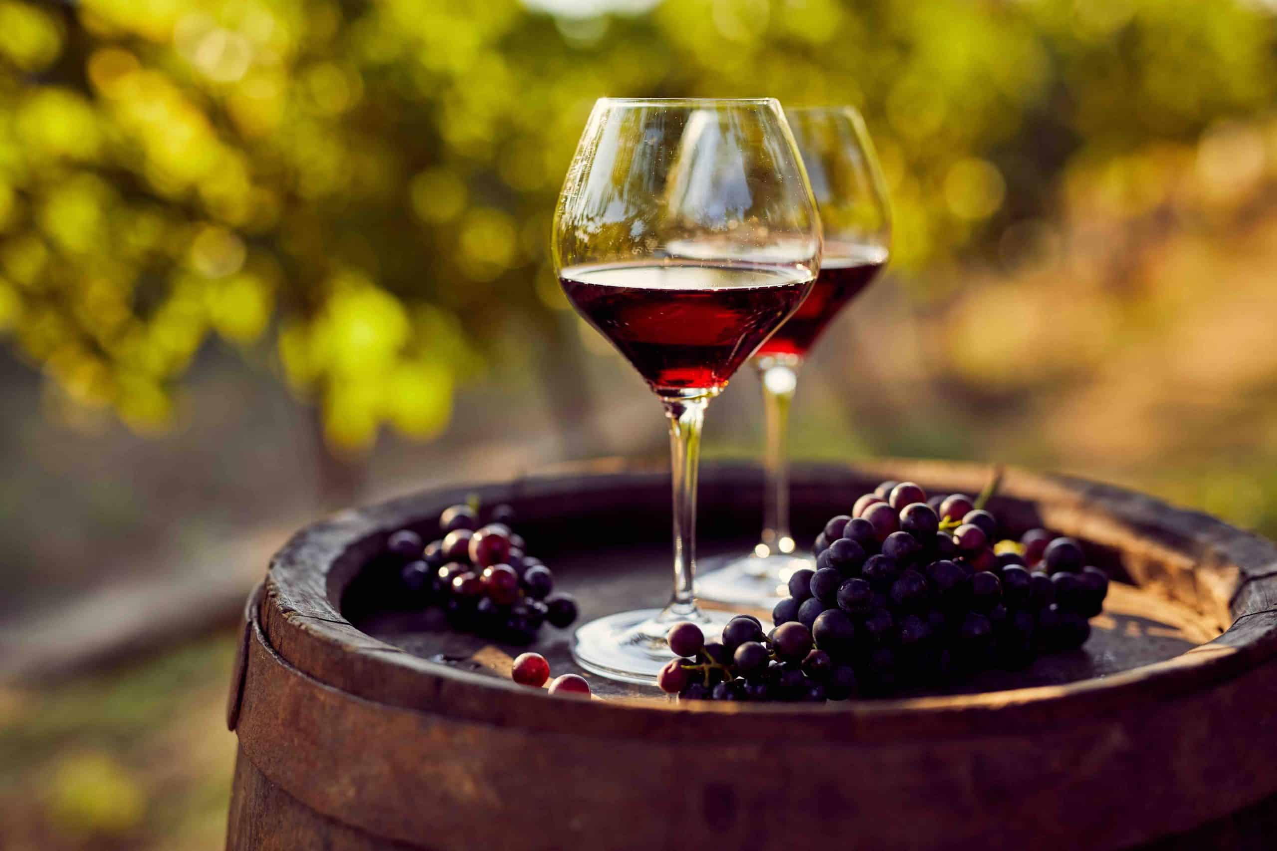 2 verres de vins dans les vignes